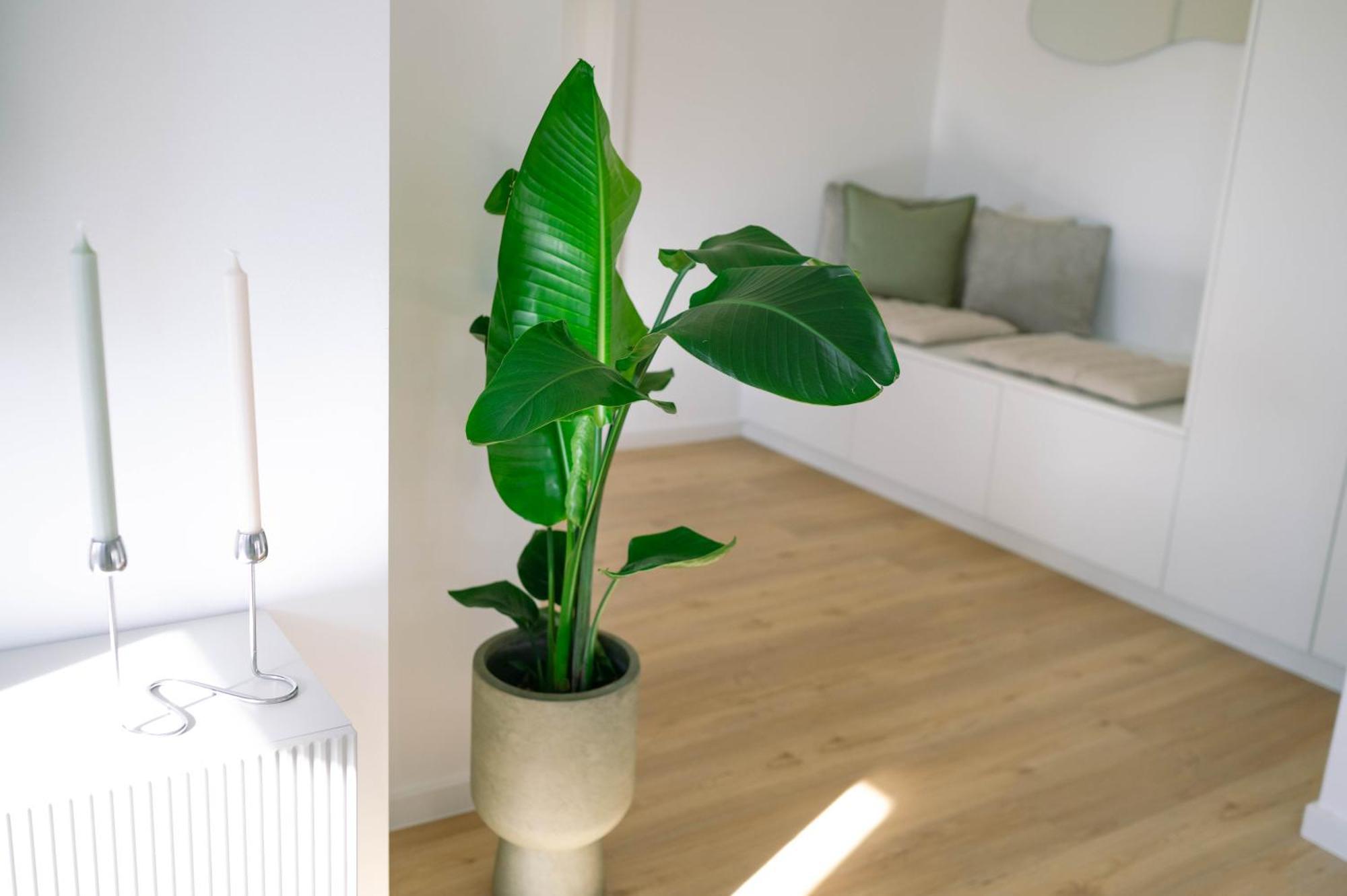 Koe27 - Modernes City-Apartment Siegen Extérieur photo